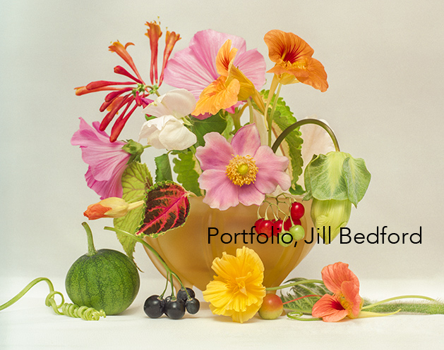 Amber with Berries, IMG_003, Available for purchase at www.jillbedfordphotography.com